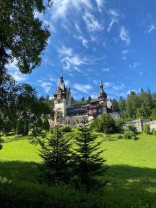 a castle in a field with trees in the foreground at Vila Șipot - Casa Arhitecților in Sinaia