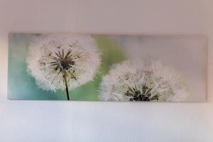 Fotografie z fotogalerie ubytování Haus Diana - Blaumeise v destinaci Waren