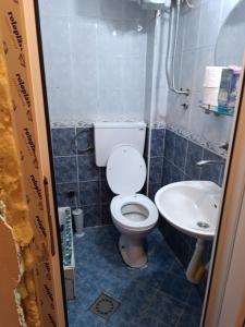 un piccolo bagno con servizi igienici e lavandino di Maravilja 7 a Belgrado
