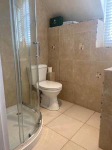 a bathroom with a toilet and a glass shower at Strongate View Apartment - cosy stylish rural Jurassic coast & Bridport nearby in Netherbury