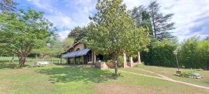 a house with a tree in front of a yard at La Calma, casa frente al río, gran parque y pileta in Villa Icho Cruz