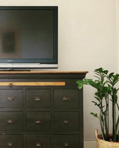 a television on top of a dresser with a plant at Casa Gregis - Museums Area - 10 min walk to Upper town in Bergamo