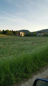 a field of grass with a house in the background at B&B Ronco Carbon in Gallio