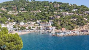 Vista aérea de una playa con barcos en el agua en 1Mirand3, en Llafranc