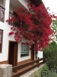 una casa con flores rojas a un lado. en Karin’s Haus, en Treze Tílias