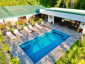 una vista aérea de una piscina con sillas y una casa en Paradiselodge Jungleguesthouse, en Platanillo