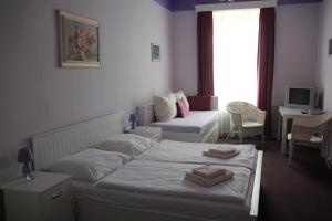 En eller flere senge i et værelse på Penzion U Lucerny
