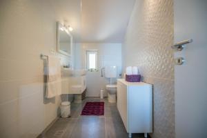 uma casa de banho com um WC, um lavatório e um espelho. em Apartments Sonata em Omiš