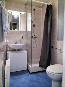un bagno con doccia, lavandino e WC di Appart'Hôtel Les ACACIAS courte et longue durée a Bischoffsheim