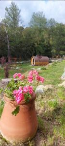 einen Blumentopf mit rosa Blumen auf einem Feld in der Unterkunft A Chjusella di E Sertine in Tralonca