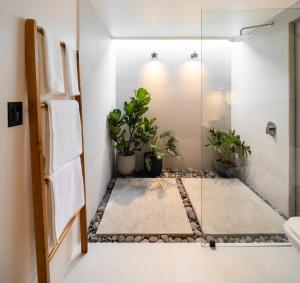 uma casa de banho com vasos de plantas e um chuveiro em BAUMA em La Fortuna