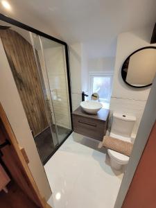 a bathroom with a toilet and a sink and a mirror at Charming 1-Bed Cottage in Brynmenyn in Bridgend