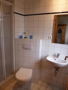 a bathroom with a toilet and a sink at Ferien unterm Reet in Prerow
