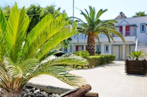 a row of palm trees in front of a building at Akti Dimis Hotel in Tigaki
