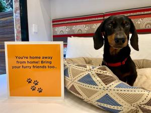 a dog sitting on a bed next to a sign at Philoxenia in Kavála