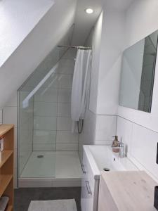 Koupelna v ubytování Ferienwohnung im Springerhof