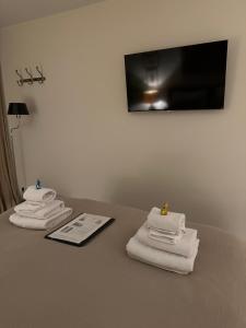 TV a/nebo společenská místnost v ubytování B&B Ereprijs