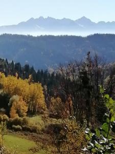 una vista de un bosque con montañas en el fondo en Domek na Karolce, en Ochotnica Górna