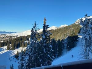 Les Balcons d'Edelweiss v zimě