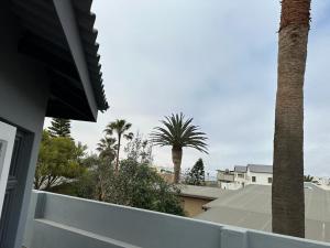 a palm tree sitting on top of a white fence at Coastwave Guest House in Walvis Bay