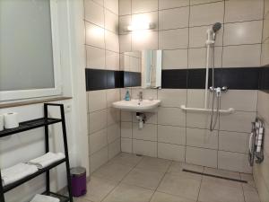 een badkamer met een wastafel en een douche bij Appart'Hôtel Les ACACIAS courte et longue durée in Bischoffsheim