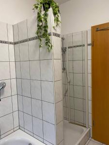 uma casa de banho com um chuveiro e uma planta na parede em Haus mit Garten - Kingbett - WIFI - Parkplatz em Essen