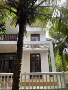 ein weißes Haus mit einer Palme davor in der Unterkunft Dinuri villa in Tangalle