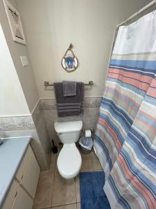 uma casa de banho com um WC e uma cortina de chuveiro em Beach Front Studio Apartment with Pool em Isabela