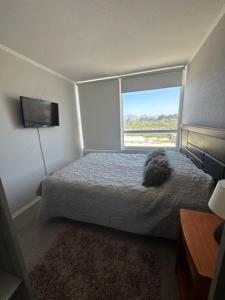 a bedroom with a bed and a window at Condominio Río Elqui in La Serena +6 photos