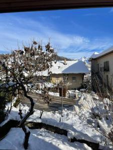 pokryty śniegiem dziedziniec z drzewem i domem w obiekcie Appartement Cosy idéalement situé w mieście Le Grand-Bornand