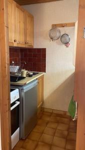 a small kitchen with a stove and a sink at Appartement Cosy idéalement situé in Le Grand-Bornand