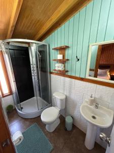 uma casa de banho com um chuveiro, um WC e um lavatório. em Hostal Senderos del Sur em Freire