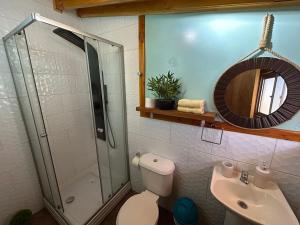 a bathroom with a shower and a toilet and a sink at Hostal Senderos del Sur in Freire