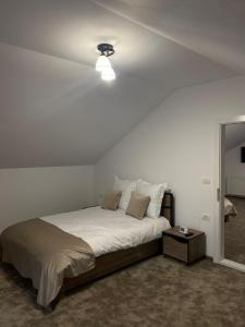 ein Schlafzimmer mit einem großen Bett und einer Decke in der Unterkunft Casa Matteo in Moisei
