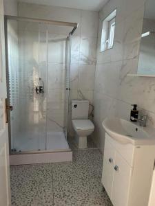 ein Bad mit einer Dusche, einem WC und einem Waschbecken in der Unterkunft Casa Matteo in Moisei