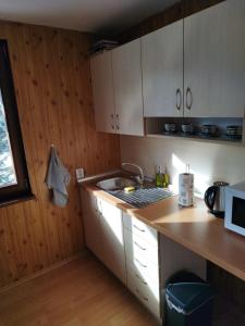 eine Küche mit einer Spüle und einem Herd Top-Backofen in der Unterkunft ubytovanie v súkromí červenka in Liptovská Teplička