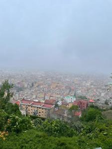 - une vue sur une ville depuis le sommet d'une colline dans l'établissement Vanvitelli Domus, à Naples