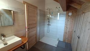 uma casa de banho com um chuveiro e um lavatório. em Les Cabris em Pelvoux