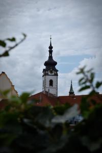 Fotografia z galérie ubytovania Family Apartment Písek City Centre v Písku