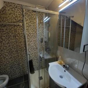 een badkamer met een douche, een wastafel en een toilet bij Casa da Fonte in Peso da Régua