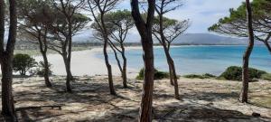 a group of trees on a beach near the water at Appartamento La Vista in Budoni