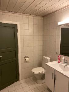 a bathroom with a toilet and a sink and a green door at Familievennlig 2 mannsbolig Hemsedal Sentrum in Hemsedal