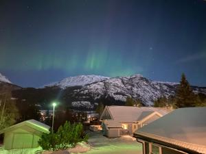 a house with the northern lights in the sky at Familievennlig 2 mannsbolig Hemsedal Sentrum in Hemsedal