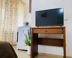 TV de pantalla plana en una mesa en la sala de estar en Studio Elegance, en Pamporovo