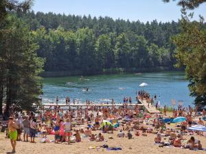 una gran multitud de personas en una playa en Apartament SOSNY 2, en Skarszewy