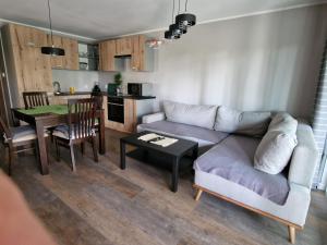 sala de estar con sofá y mesa en Apartament SOSNY 2, en Skarszewy