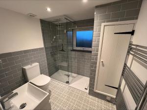a bathroom with a toilet and a shower and a sink at Beech Cottage in Ilfracombe +14 photos