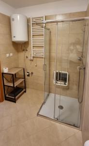 a shower with a glass door in a bathroom at Apartmani Sunce i More in Premantura +32 photos