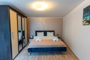 Llit o llits en una habitació de Vila Crișan