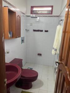bagno con servizi igienici rossi e lavandino di Green farm, with dry/wet, and near infrared sauna a Caldas